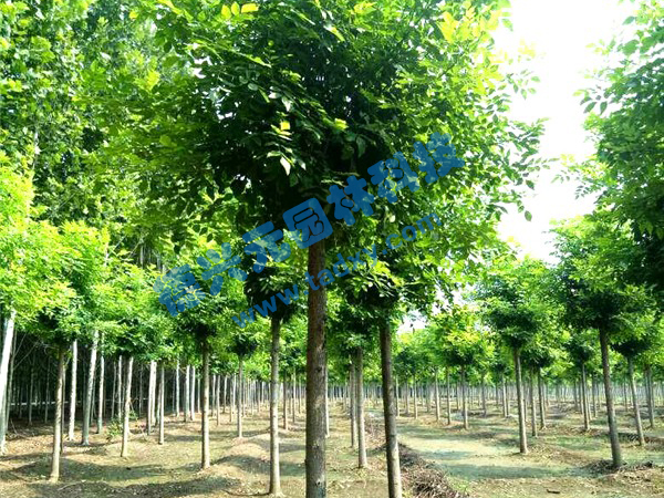 c(din)鿴Ԕ(x)Ϣ(bio)}Ϟ xΔ(sh)2308