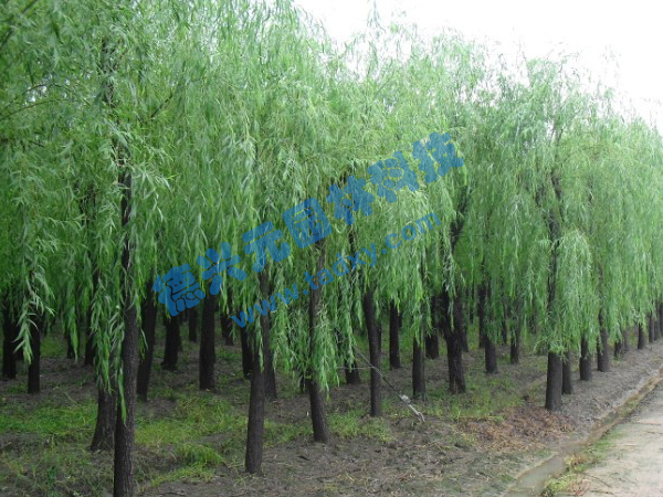 c(din)鿴Ԕ(x)Ϣ(bio)} xΔ(sh)2296