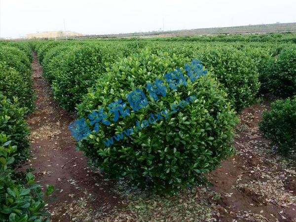 c(din)鿴Ԕ(x)Ϣ(bio)}~S xΔ(sh)2438