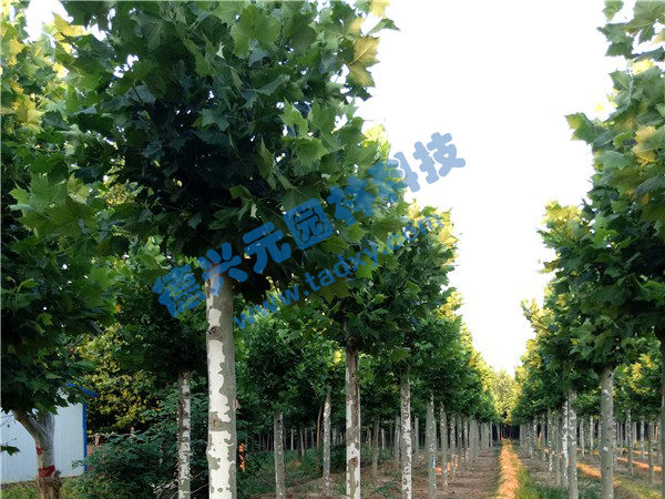 c(din)鿴Ԕ(x)Ϣ(bio)}ͩ xΔ(sh)2297