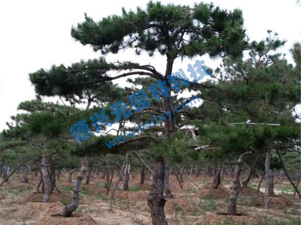 c(din)鿴Ԕ(x)Ϣ(bio)} xΔ(sh)2369