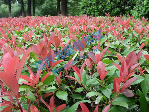 c(din)鿴Ԕ(x)Ϣ(bio)}t~ʯ xΔ(sh)2355