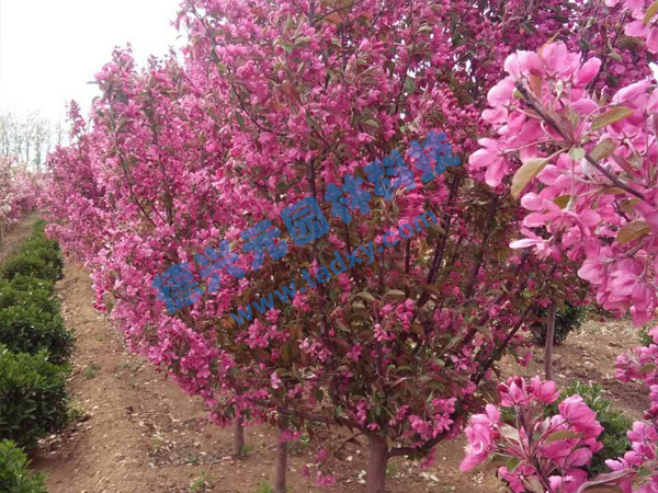 c鿴ԔϢ}k xΔ(sh)2147