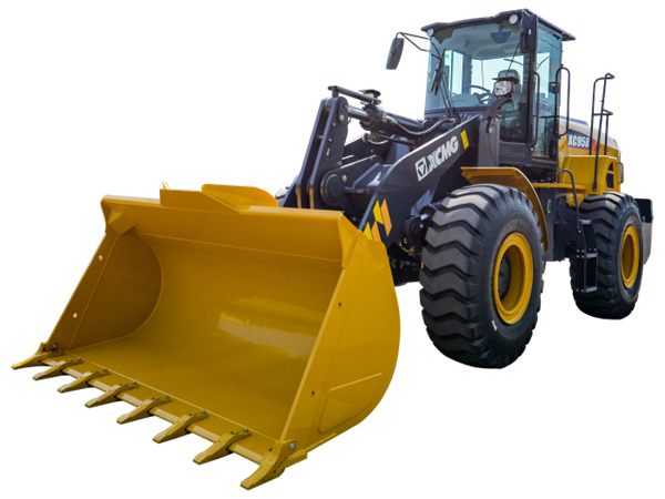 c(din)鿴Ԕ(x)Ϣ(bio)}XC958 bdC(j)() xΔ(sh)1236